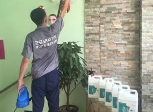 渭南大風車幼兒園除甲醛施工案例