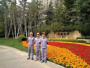 白樺林間荃芬除甲醛施工案例